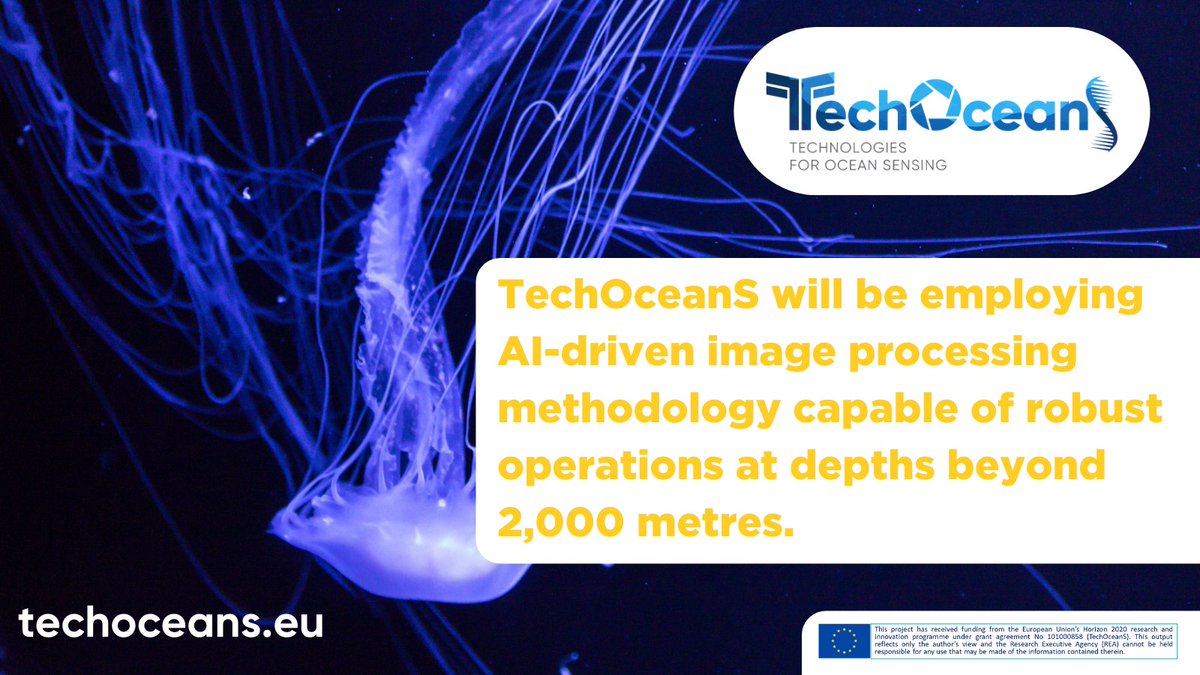 TechOceanS's tweet image. 🐠To understand and protect our ocean&apos;s vital habitats, we need accurate and comprehensive measurements and data on the chemistry and biology of the oceans.

💙 TechOceanS technologies will contribute to the capture of vital data on our #oceans.

#H2020 #oceanmonitoring