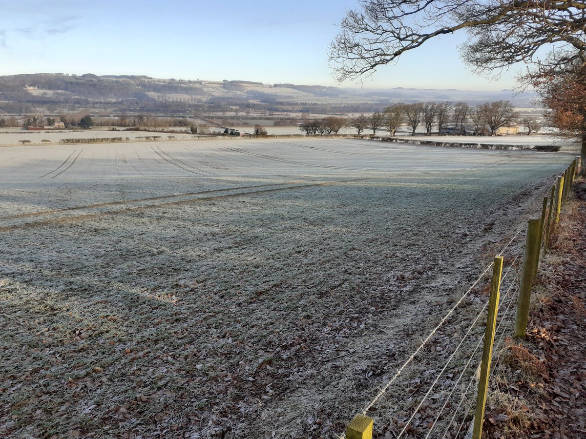 mlintern tweet media