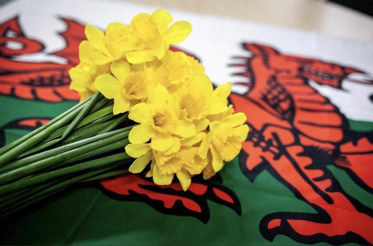 MalpasCricket's tweet photo. Happy St David’s day! https://t.co/osoEmELJrG