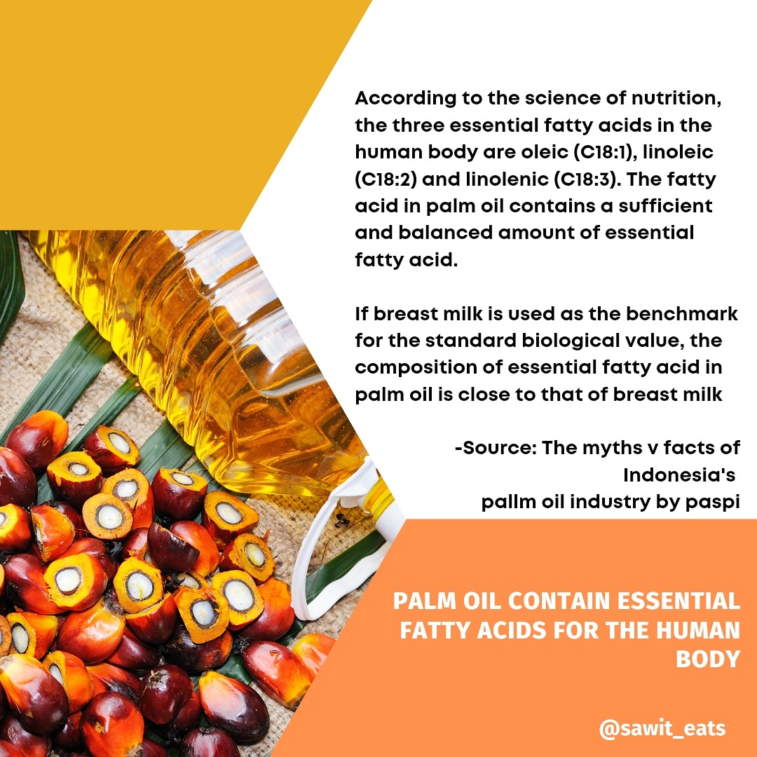 PalmDaily's tweet photo. #Palmoil and the essential fatty acids in the human body https://t.co/LIsqihLzMV