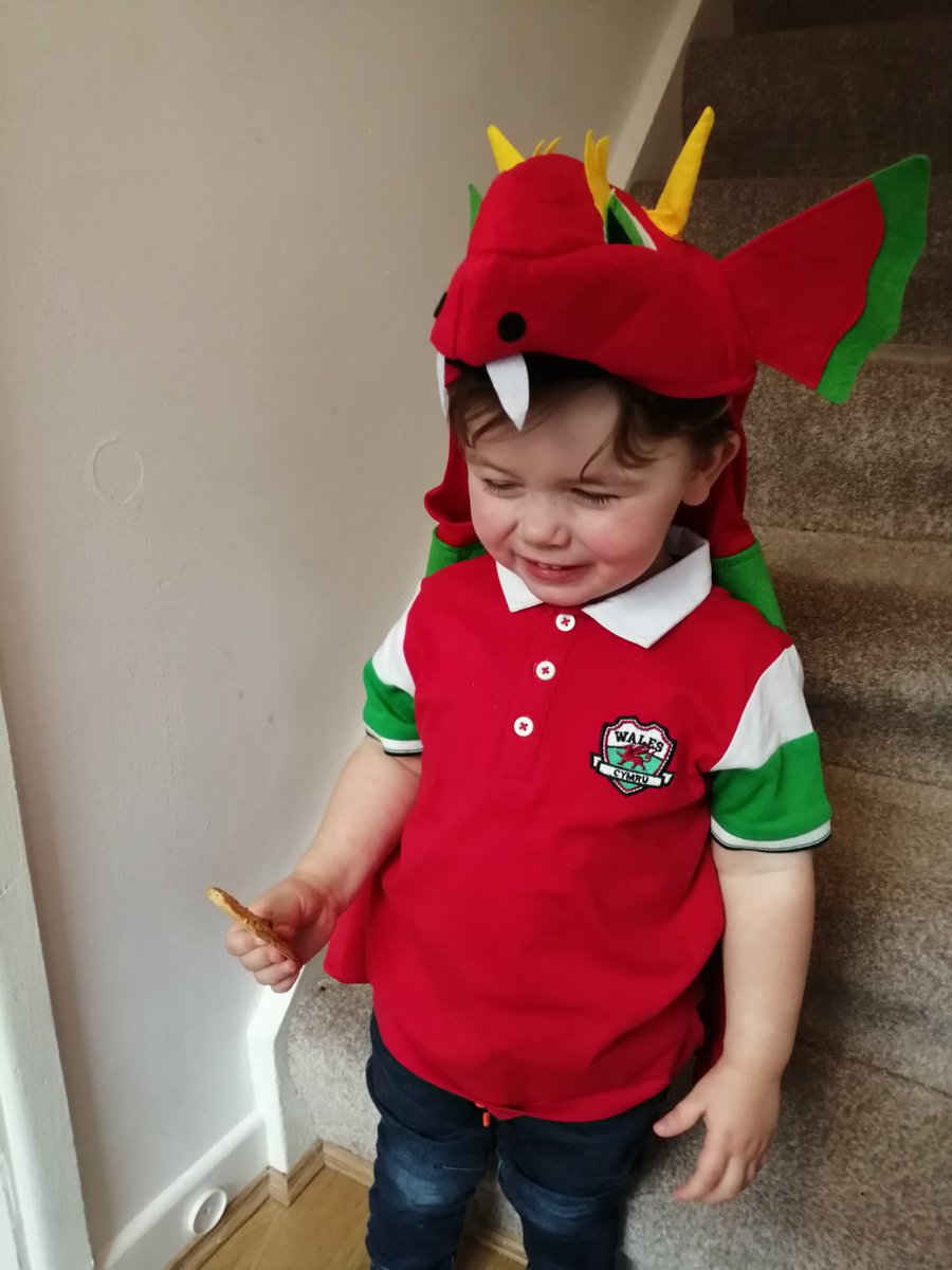 Happy St David's day! Dydd Gŵyl Dewi Hapus! 

He wasn't too happy about the dragon at first 🤣