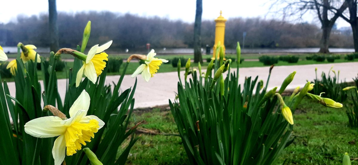 Hello March 🌱🔆 #CorkCity #thelough