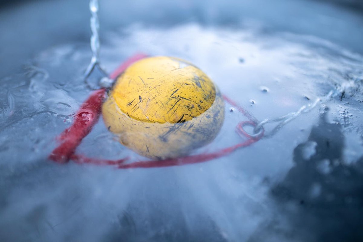 So sad to put our wonderful #hwmfc on hold once again! Hope to see you guys next year!! #COVID19 #nomeetingthisyear #hammerthrow #athletics