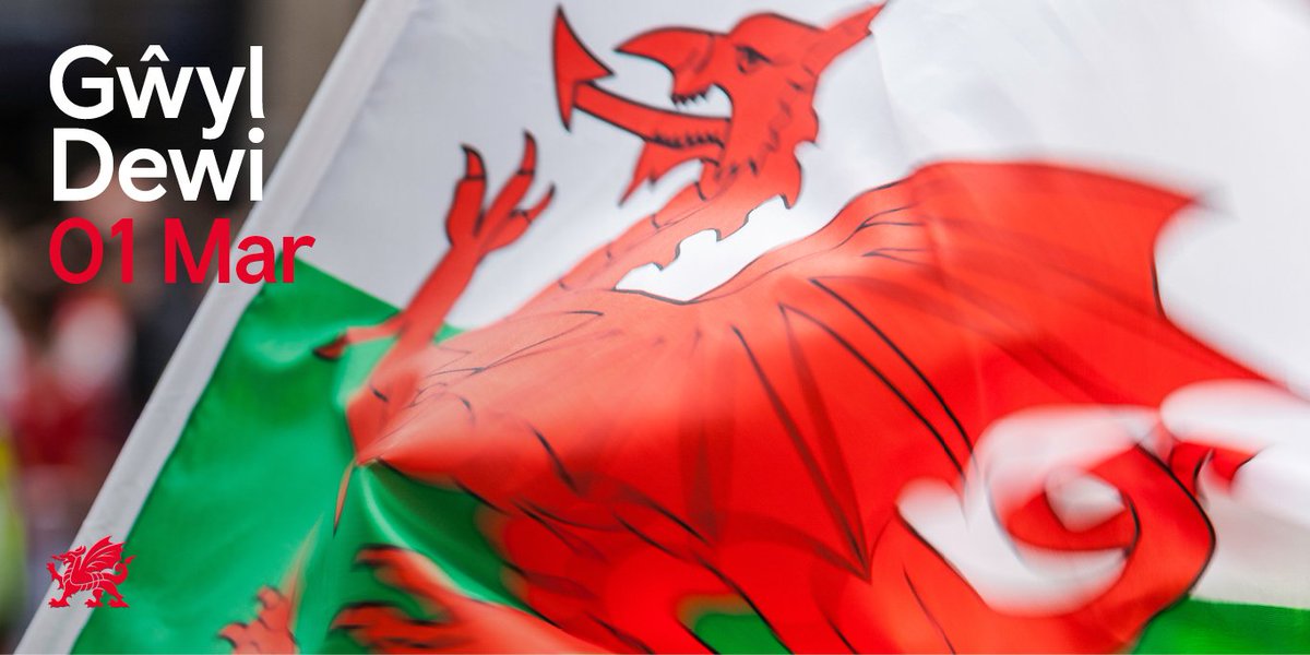 Kim's Ceramics tweet media