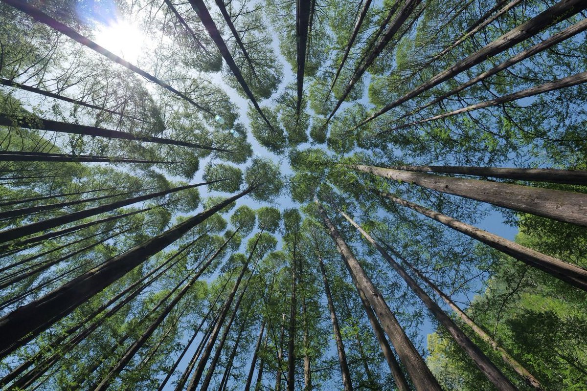 Citizen Science Network Austria (@csaustria) on Twitter photo So great, two new #openaccess articles are published in our <a href="/Sus_MDPI/">Sustainability</a> special issue on #citizenscience and #SDGs: citizen-science.at/blog/citizen-s…
Authors: @spacepasty <a href="/UtaWehn/">Uta Wehn</a> <a href="/S_VoigtHeucke/">Silke Voigt-Heucke</a> <a href="/Kim_Mortega/">Kim Mortega</a> and many more So great, two new #openaccess articles are published in our <a href="/Sus_MDPI/">Sustainability</a> special issue on #citizenscience and #SDGs: citizen-science.at/blog/citizen-s…
Authors: @spacepasty <a href="/UtaWehn/">Uta Wehn</a> <a href="/S_VoigtHeucke/">Silke Voigt-Heucke</a> <a href="/Kim_Mortega/">Kim Mortega</a> and many more