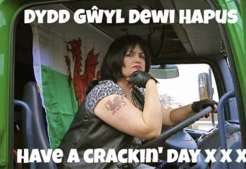 patchyflower's tweet image. 😂