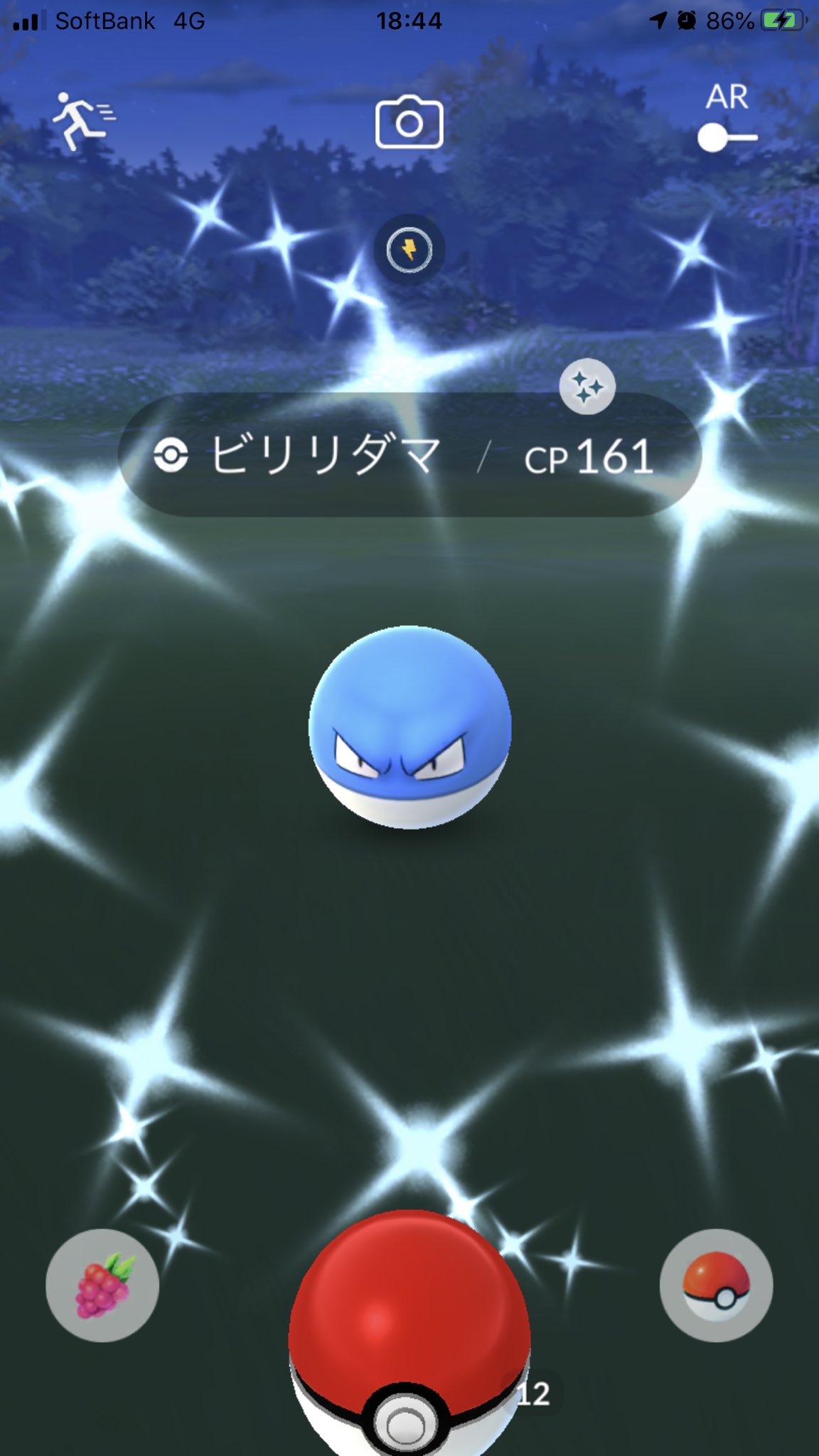 ドルチェ 色違いビリリダマ2匹目get これでマルマインに進化させられる ポケモンgo T Co Ulledizxmj Twitter