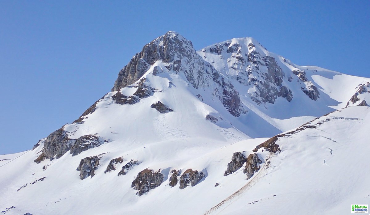 naturabruzzo's tweet photo. Scialpinismo monte Meta e Metuccia #abruzzo #trekking #inverno #winter #ski #skialp #sci #scialpinismo #gransasso #italia #italy #travel #alpinism #winter #snowboarding #pnalm #mainarde https://t.co/BEjTT5A8hi