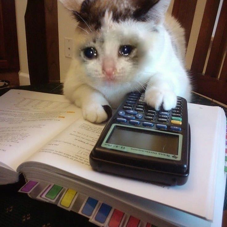 Lütfen mutlu edin bizi #NoticeTurkishStudents