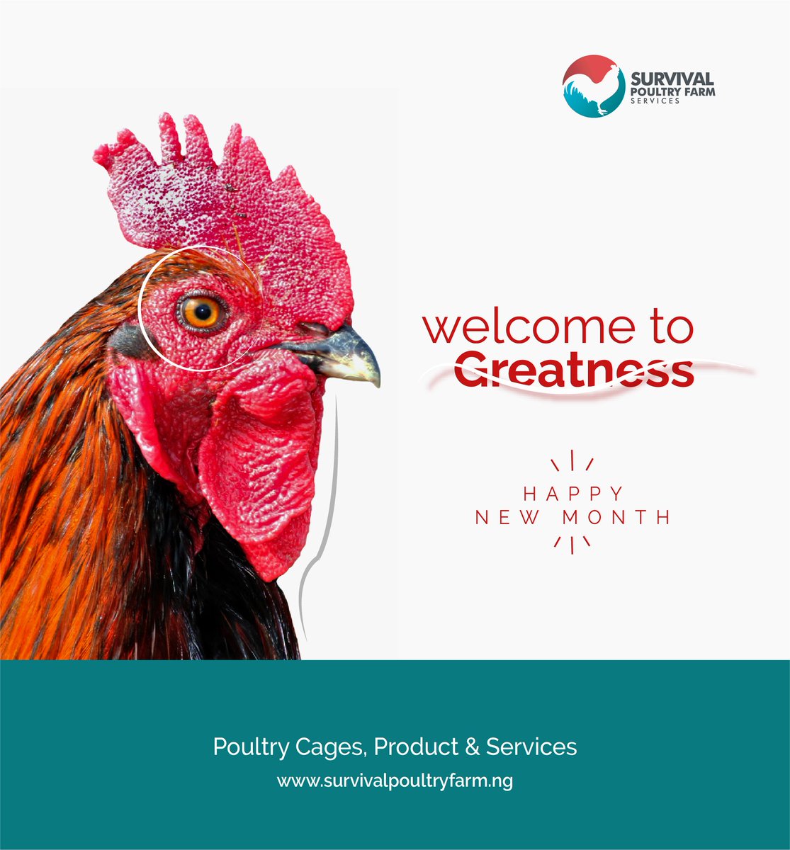 Welcome to march the month of grestness and we wish all our esteemed customers out there,  HAPPY NEW MONTH 
#spfs #agro
#poultry #farmer
#farming #layer
#survival_nation
#agriculture #pen
#birds #backyardpoultry
#pol #poultryfarmer
#cage #agricultural
#poultrycage #broilers