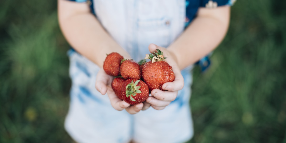 .<a href="/CivicaSaffron/">Civica Saffron</a> supports Food Waste Action Week <a href="/lfhw_uk/">Love Food Hate Waste</a>

contractcateringmagazine.co.uk/story.php?s=20…