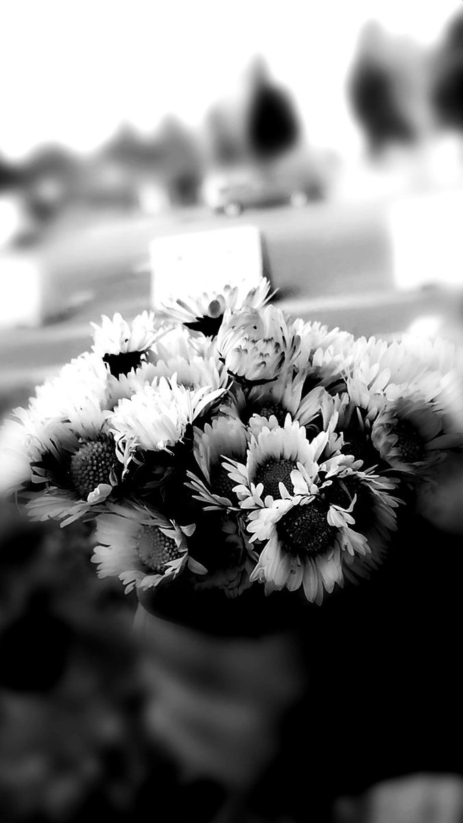 "Hayat Mart'a benzer.
Hem kış bitmedi,
Hem de umut var bahara.." 

#Günaydın 
#Mart