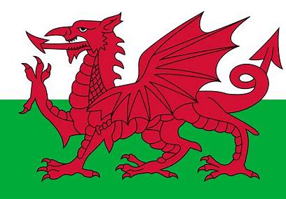 Dydd Gŵyl Dewi Hapus!
Happy St David’s Day!