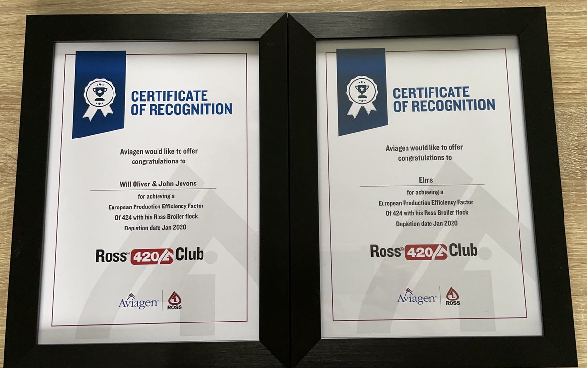 Elms__Farm's tweet image. Elms Farm finally inducted into the Ross 420 club. Great achievement by everyone at Elms Farm! #poultryfarming #smartfarming #agriculture #backbritishfarming