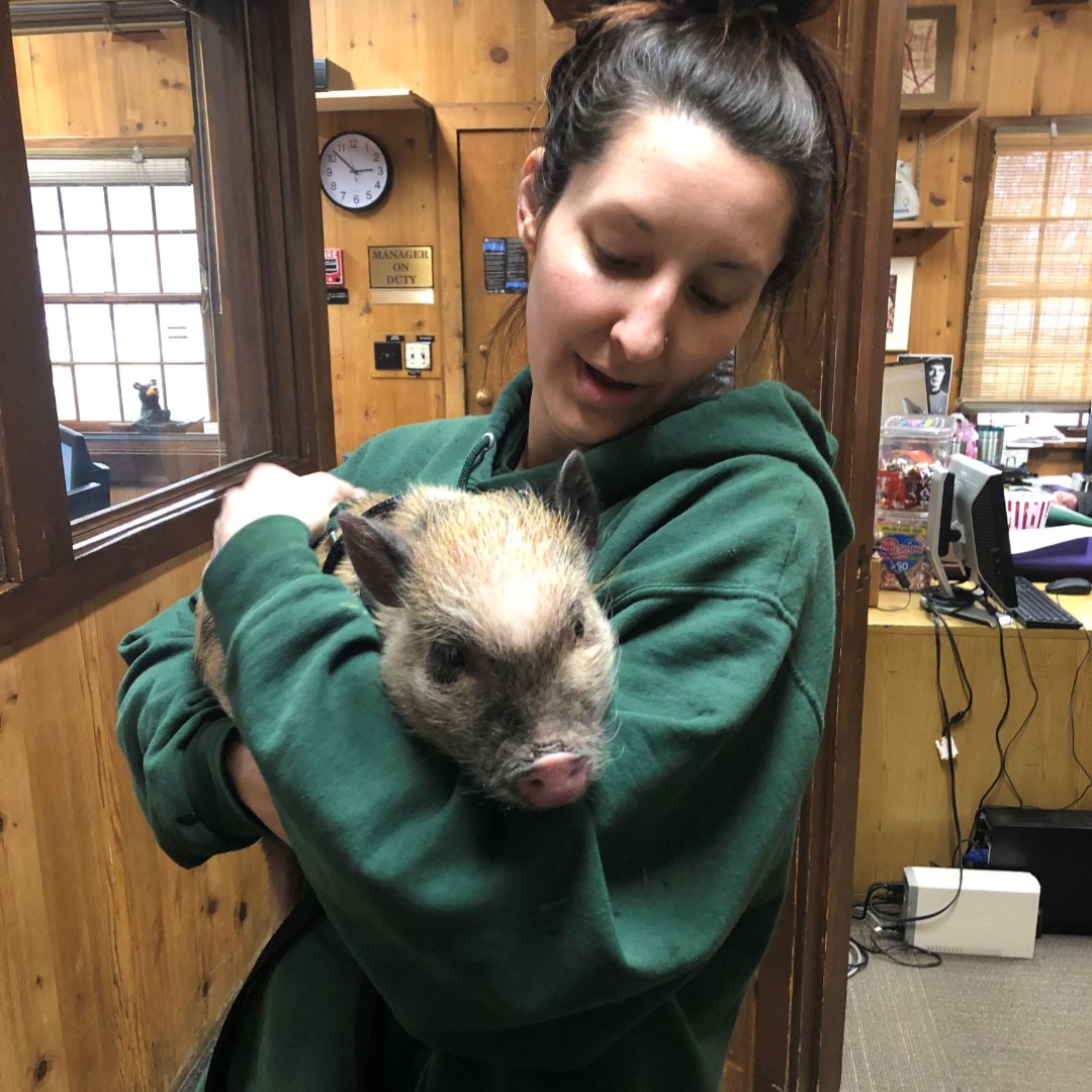 WildlifePrairiePark tweet media