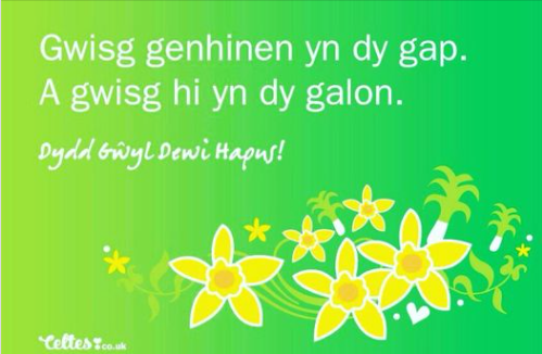 LGSCymraeg's tweet photo. Wear a daffodil in your cap.
And wear it in your heart.
Dydd Gwyl Dewi Hapus Pawb! https://t.co/mA4NpZw0za
