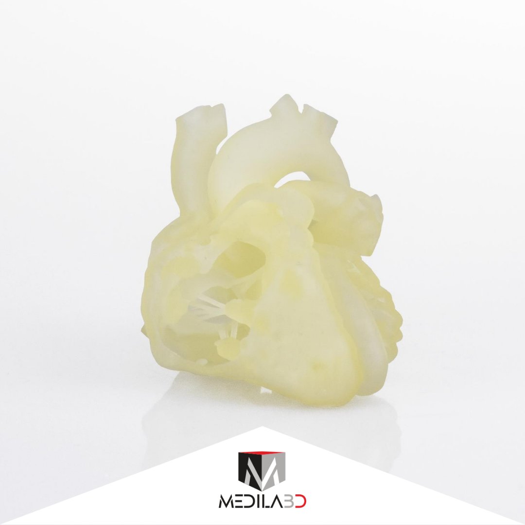 Medilab3D's tweet photo. L’innovazione digitale al servizio della salute🧬Siamo in grado di accelerare lo sviluppo di prodotti e supportare l’equipe medica dal modello concettuale 3d fino ai test preclinici. Tutto questo grazie alle soluzioni di #stampa3dmedical di @Stratasys. ➡https://t.co/tOYyrytckT https://t.co/i0UyrCXNf8
