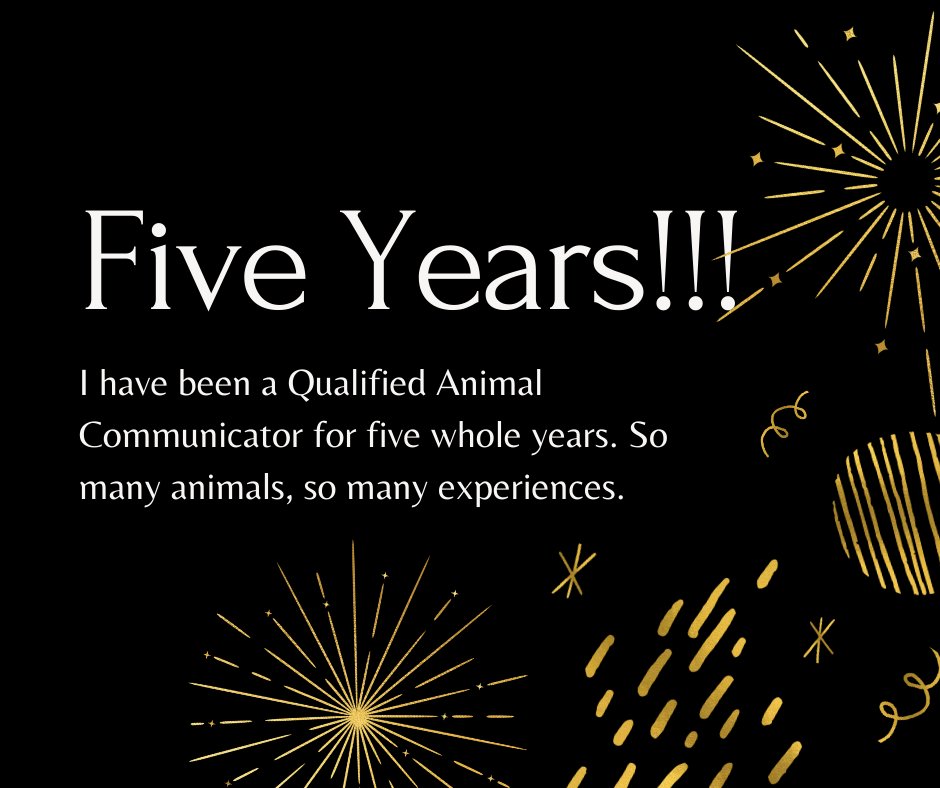 AnimalComms's tweet image. 