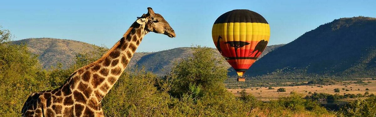 zeigentours.com/event-details/…
Central bookings: info@zeigentours.com
#level1