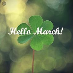 papillon_group's tweet photo. #newmonth #newgoals #career #focus #believe

info@thepapillongroup.co.za https://t.co/F4ivyEt6qJ