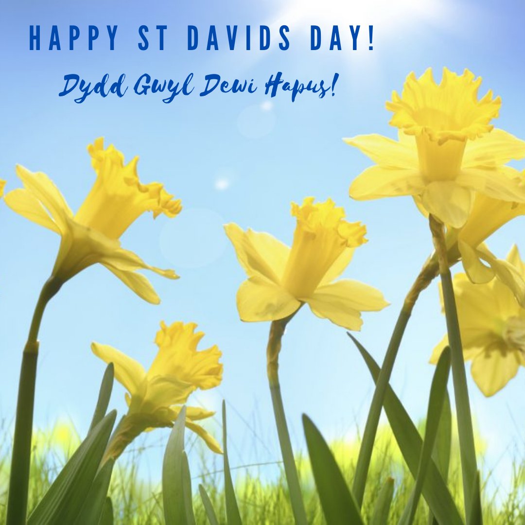 Technovent Ltd tweet media