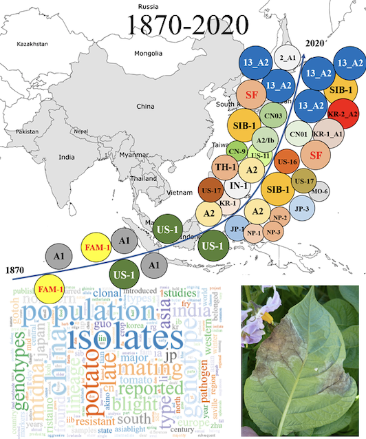 Potato late blight in Asia: all you need to know in one splendid Review: bsppjournals.onlinelibrary.wiley.com/doi/abs/10.111…
