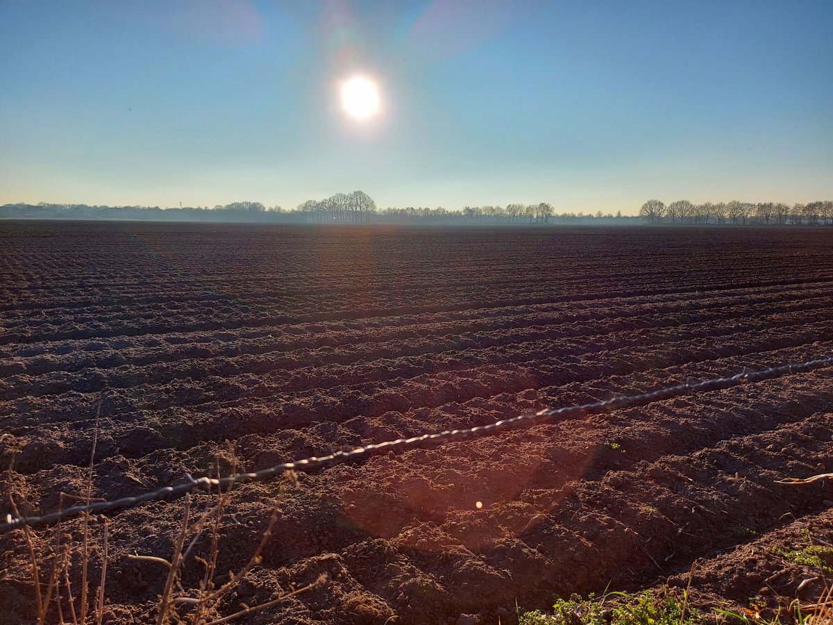 InnovatiefGroen's tweet photo. @FrankPKuijpers https://t.co/XW5Im4Aow2