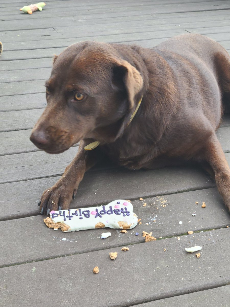 historywithedge's tweet photo. Happy 1st Birthday to Miss Iris!
#HistoryWithEdge https://t.co/PxdFdvqZDD