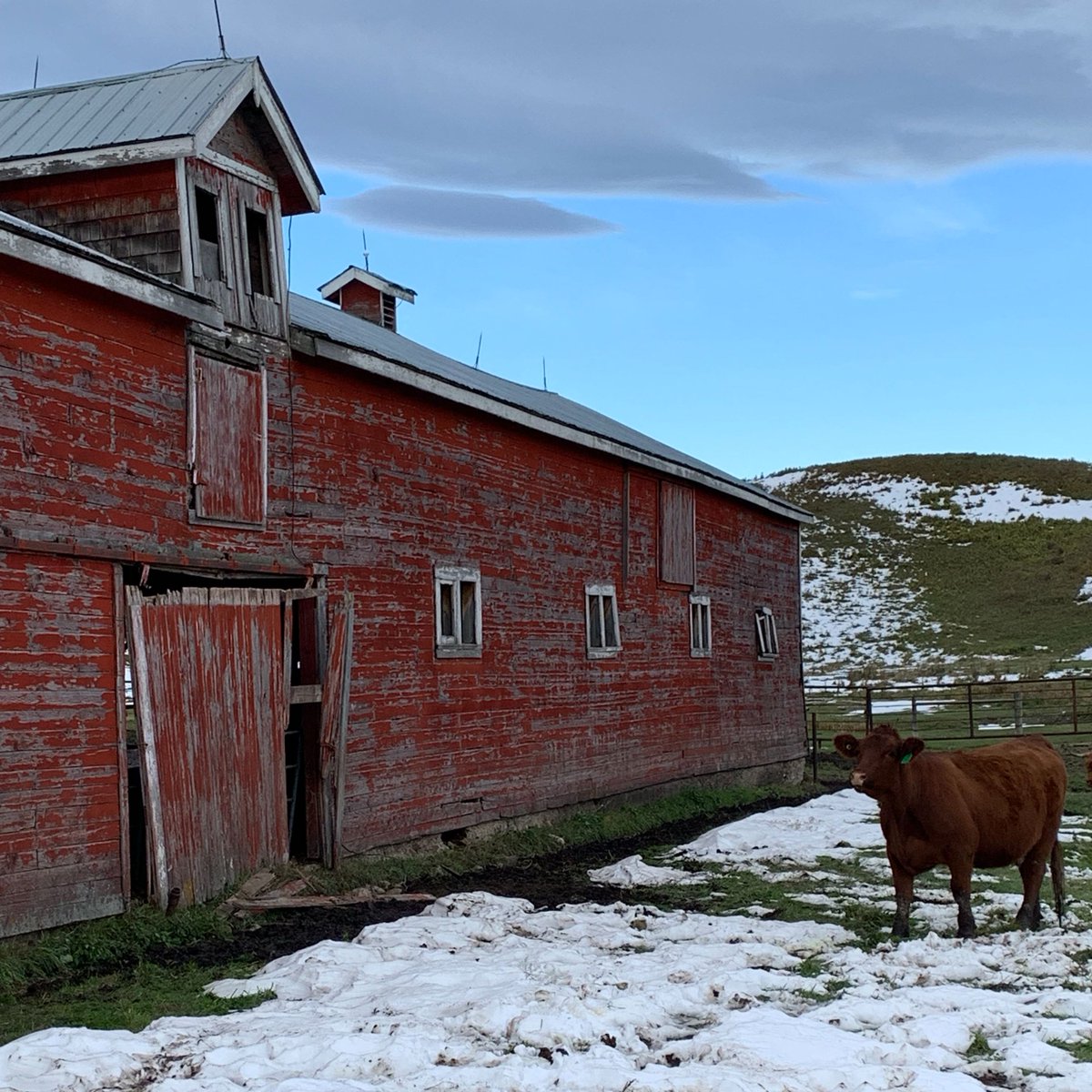 Is it spring yet? We are anxious to get back out into rural AB and start this years batch of beautiful buildings. 
.
#reclaim #history #reclaimation #barnteardown #dismantle #procure #salvage #restoringhistory #beautifuloldbuildings #abandonedalberta #alberta #albertahistory