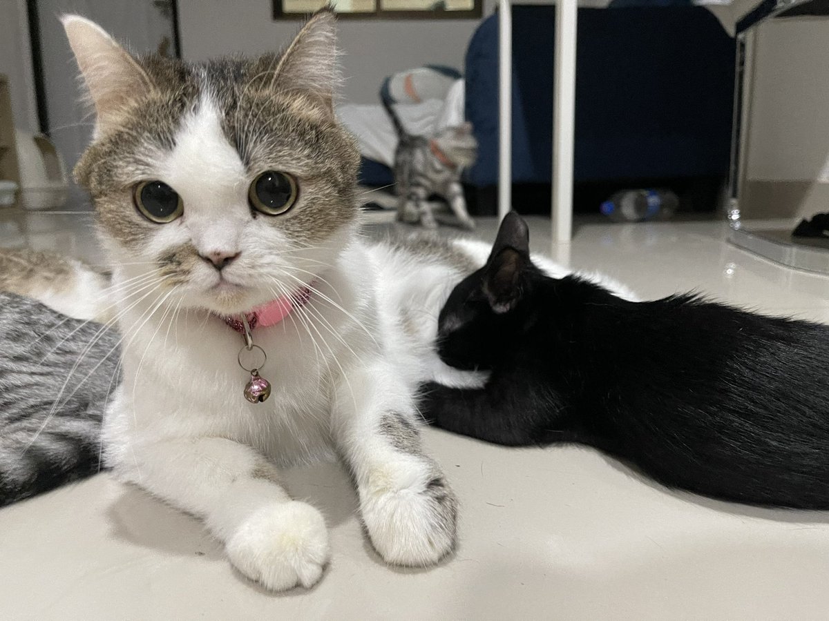 ให้ภาพเล่าเรื่องเพราะเริ่มปวดหัวกับซารังและ