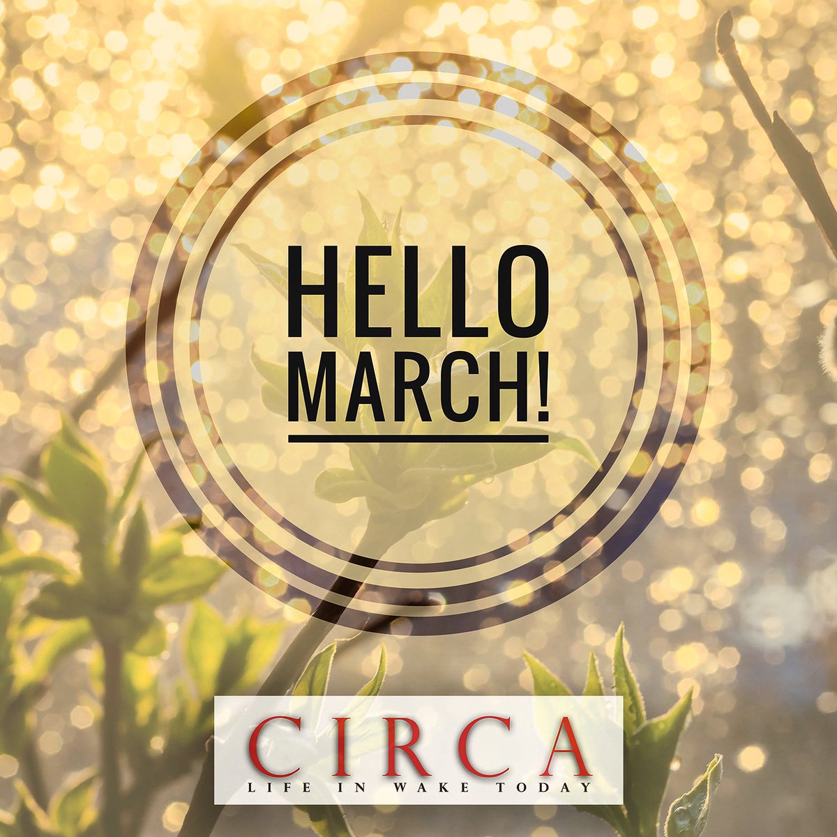 Hello March! 😀🌷🌼