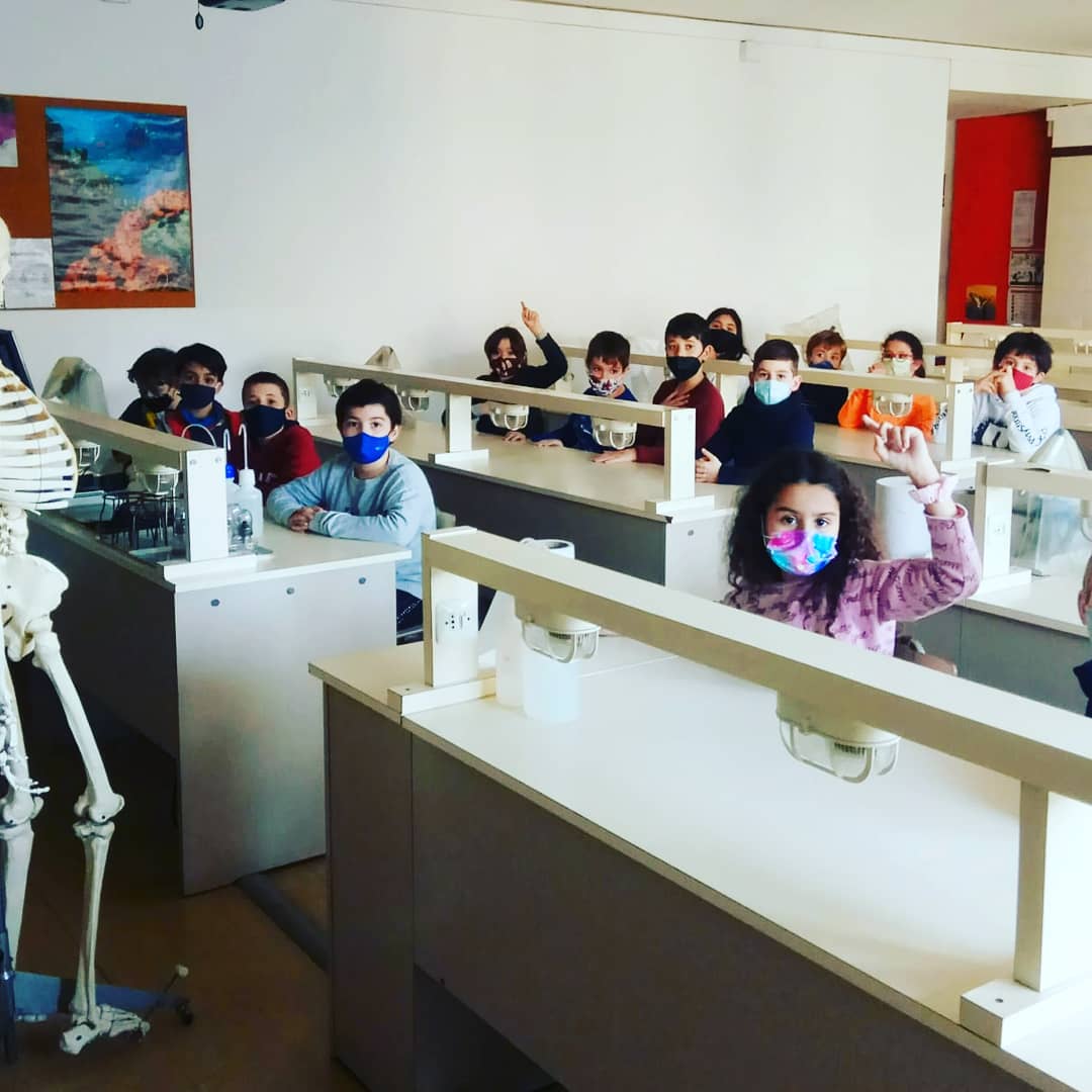 EscolapiesLL's tweet photo. Els alumnes de Cicle Mitjà, dins del projecte: "Em sento bé", hem gaudit de l'experiència d'anar al #laboratori de #biologia 🔬 dels grans i hem conegut el "Manolo"💀.
Ens ho hem passat d'allò més bé!!!
#emsentobé #editorialsantillana #medinatural #esquelet #educacioprimaria https://t.co/jyktsy0tJO