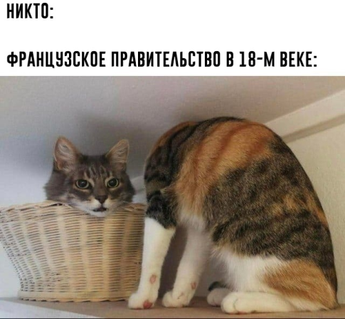 so_mad_so_funny's tweet photo. https://t.co/jObodseuzN