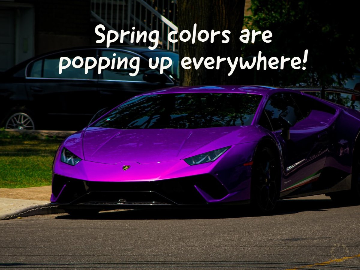 CollexAutoBody's tweet photo. Spring brings beautiful colors! Hello March!
Collex Collision https://t.co/Q0xuMtQ13l
#CollexCollision️ #March #SpringColors #MondayVibes https://t.co/CIpPEmXlvp