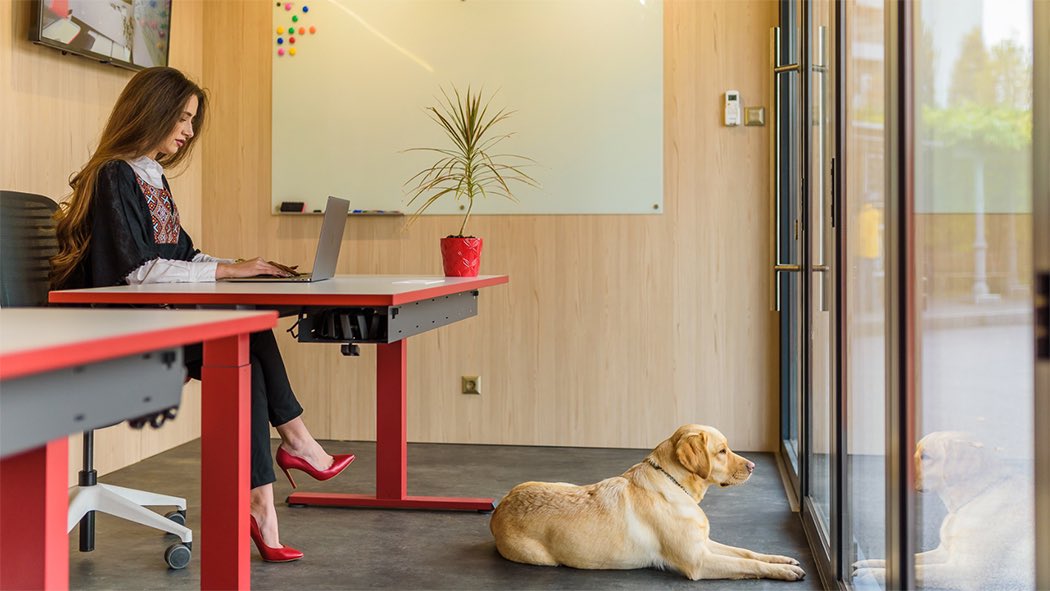 beyondrelation's tweet photo. Designers: @nookaspace

Nooka calls these sheds ‘proximity office space’ that people can lease or re-rent, Airbnb-style, to others. These office sheds can also be shared by communities for remote working and remote learning even after the pandemic. https://t.co/YRYuQoyjTQ