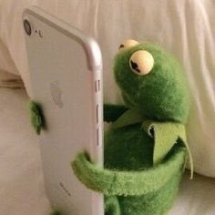 floofpaldi's tweet image. 