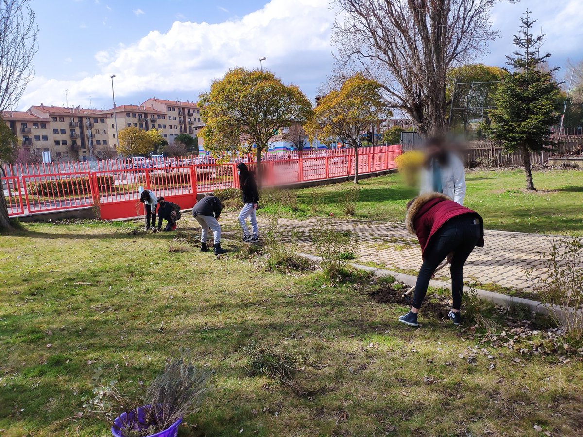blancanamero's tweet photo. Preciosa estampa...llevar al ámbito urbano la naturaleza autóctona de Salamanca, el arte de sembrar y cuidar...Volvemos al #OpenLabFray y esta vez para reducir impactos con nuestras acciones previstas, estudiadas y planificadas...#ArTBoreto @iesfrayluis https://t.co/GRGJFjYuBf