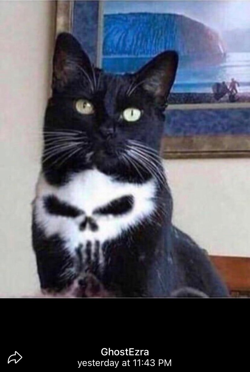 cringle2002's tweet image. 👍🏾 @Ghostezra