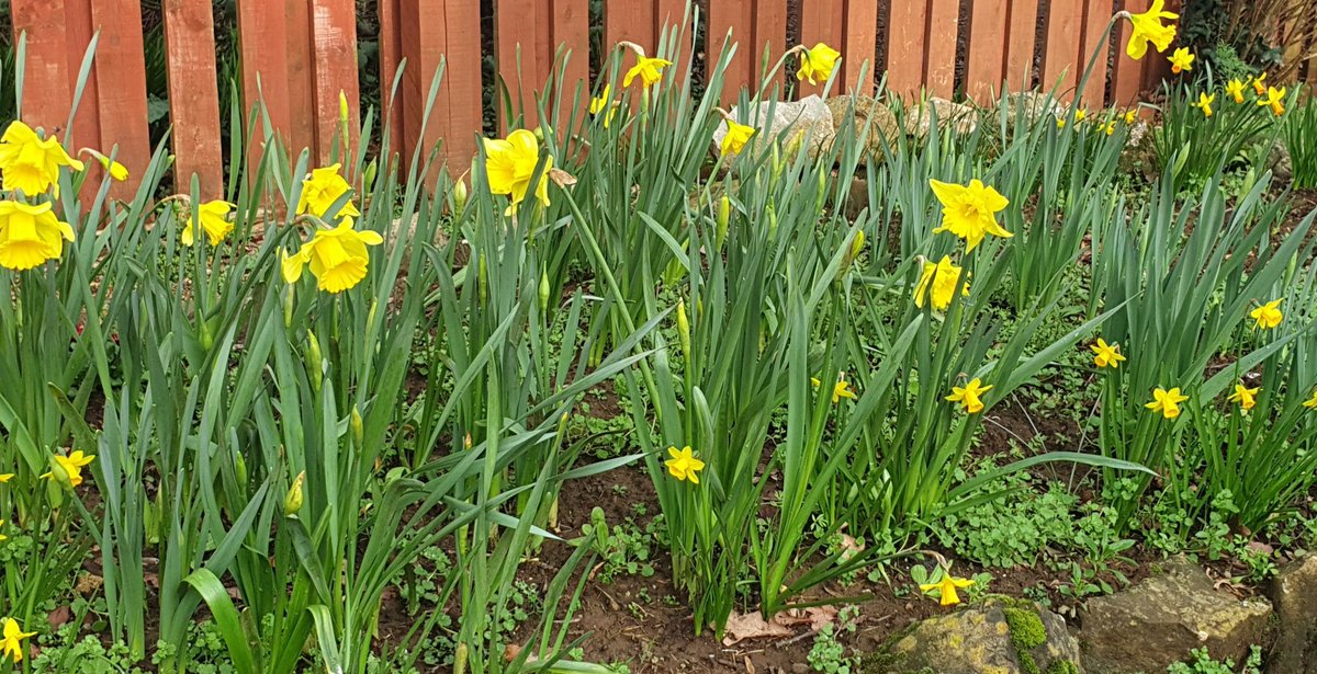 EH Accountancy tweet media