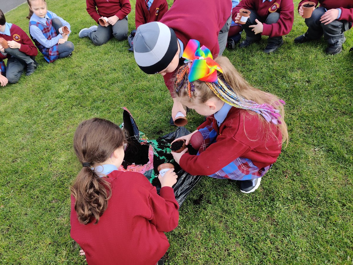StCronansRoom1a's tweet photo. We're back and I don't think there's anywhere we would rather have been today!! We spent the day catching up, playing games and we even took advantage of the good weather and planted some sunflower seeds outside. https://t.co/zvOBNx4kmR