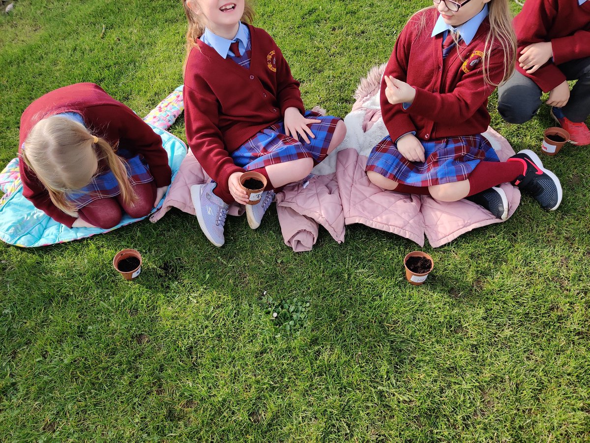 StCronansRoom1a's tweet photo. We're back and I don't think there's anywhere we would rather have been today!! We spent the day catching up, playing games and we even took advantage of the good weather and planted some sunflower seeds outside. https://t.co/zvOBNx4kmR