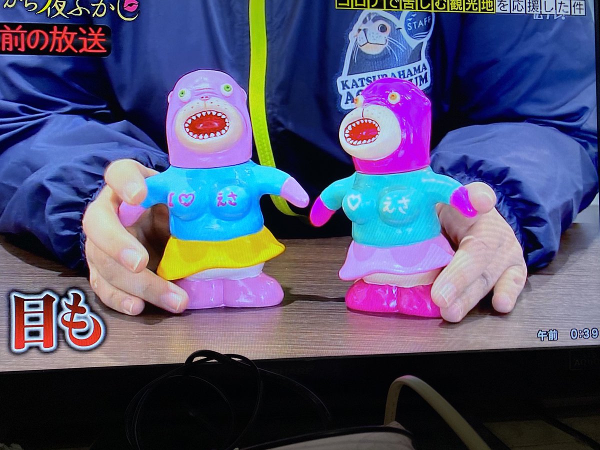 ☺︎とどちゃん☺︎ どちゃんこTV【ヴィーナスシリーズ第19戦 是政プリンセスカップ：開催