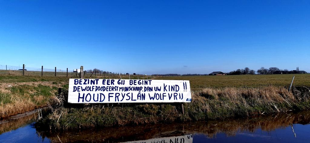 Gespot in Friesland #fryslan #natuurmonumenten #staatsbosbeheer  #wolven
