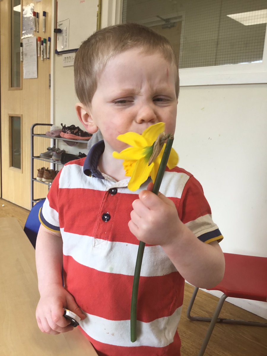 snapcorsham's tweet photo. We have been so busy in toddlers exploring the daffodils, creating our own and even practicing our scissor skills by chopping them up! We have had so much fun celebrating  #StDavidsDay. Good work team, you have made some fantastic pictures! #Daffodils #sticking #cutting https://t.co/GcewrzU8cJ