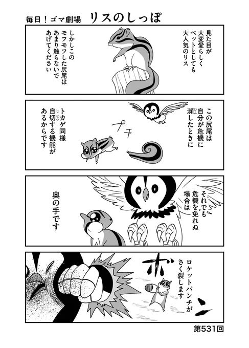 第531回『毎日!ゴマ劇場』 #毎日ゴマ劇場  