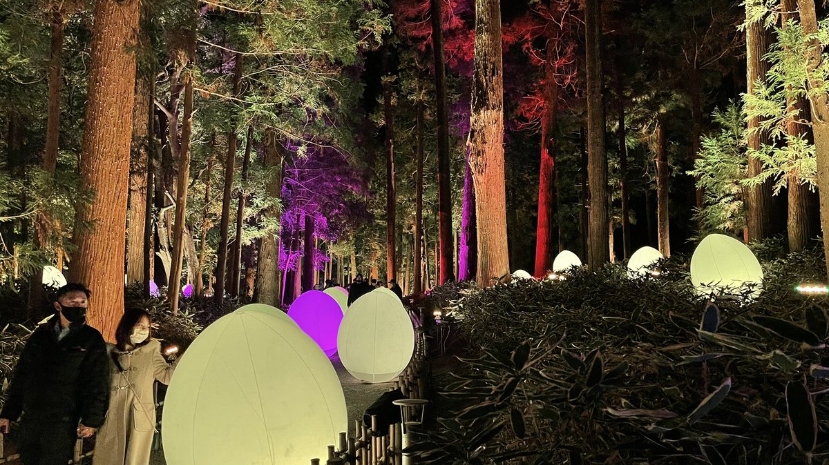 DaveInOsaka's tweet photo. Another amazing show by Teamlabs at Kairakuen in Mito, Japan. It goes until March 31. https://t.co/bwAwf7AGkr