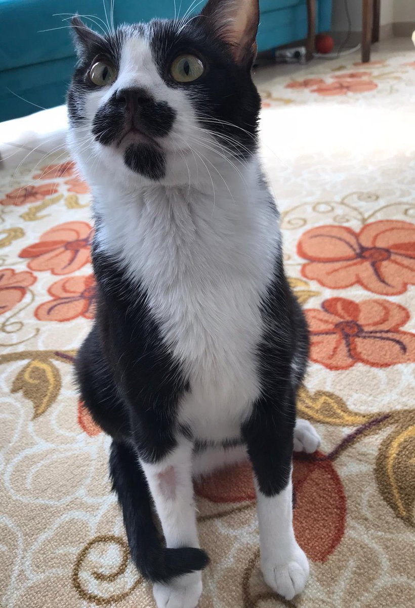 Delice seviyorum🎶
Nazına ölüyorum🎶🎶