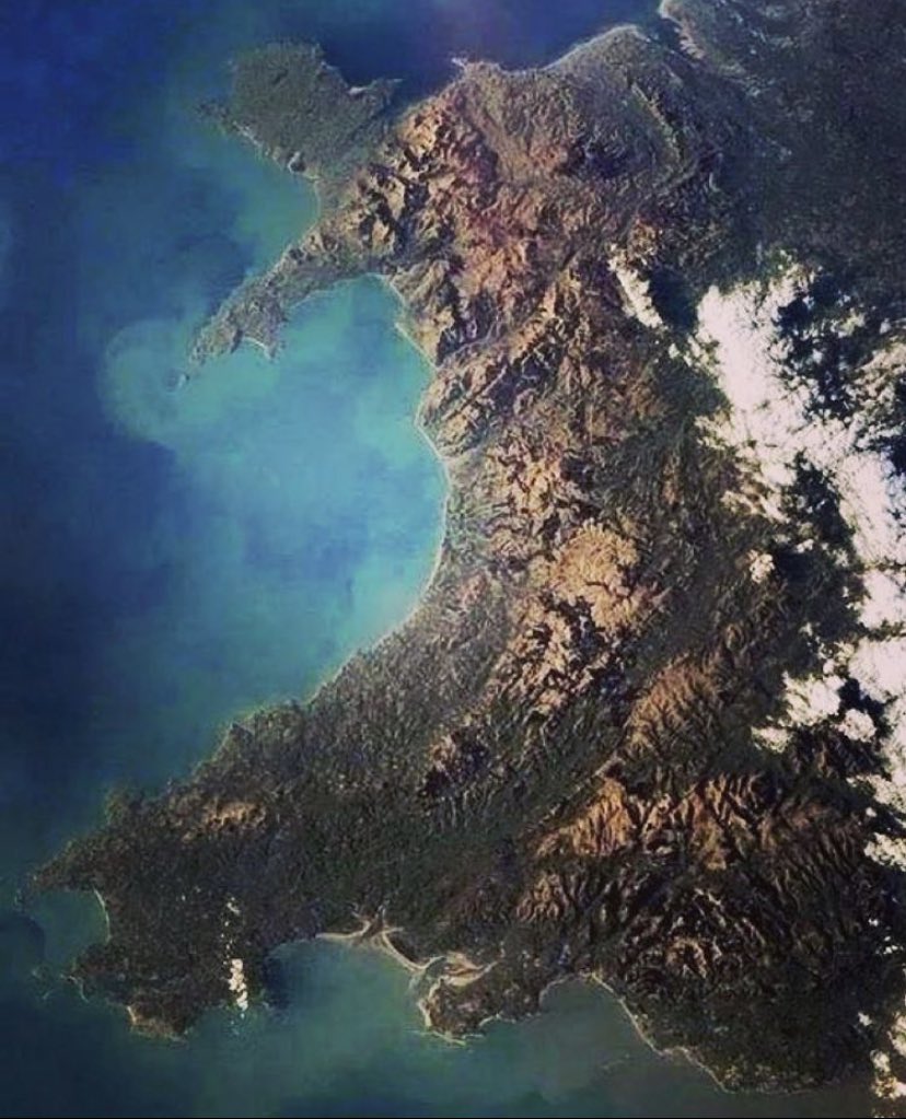 JoeWebbMusic tweet media