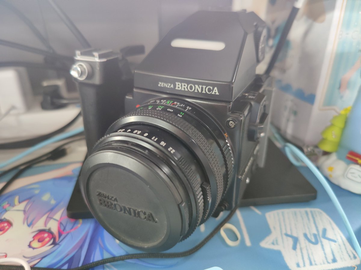 亲爱的不二 tweet media