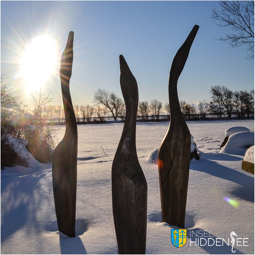 Guten Morgen!! 

Weil es so wunderschön war 😊 noch ein Foto von 
unserem Winterwunderland am 12.02.2021. 

Kommt gut durch den Tag und bleibt gesund!

#hiddensee #seebad #mvtutgut #ostsee #bisbald